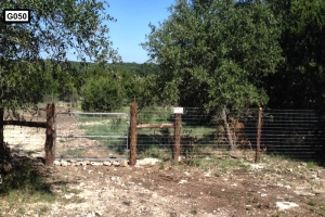 Website- G050