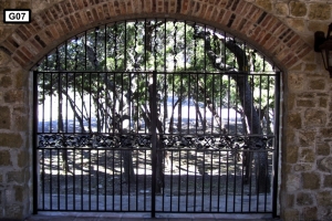 Website- G07